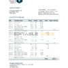 Saudi Arabia Banque Saudi Fransi bank statement easy to fill template in Excel and PDF format