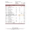 Saudi Arabia SABB bank statement, Excel and PDF template