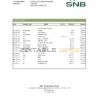 Saudi Arabia SNB bank statement, Excel and PDF template