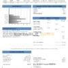 USA Georgia Savannah utility bill template in Word and PDF format
