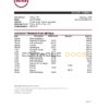 Seychelles ABSA bank statement, Excel and PDF template