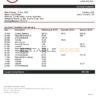 Seychelles ABSA bank statement template in Word and PDF format