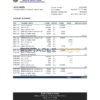 Sierra Leone Bank of Sierra Leone bank statement, Excel and PDF template