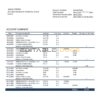 Sierra Leone Bank of Sierra Leone bank statement template in Word and PDF format