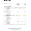 Sierra Leone National Development bank statement, Excel and PDF template