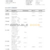 Sierra Leone National Development bank statement template in Word and PDF format