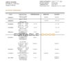 Singapore Maybank bank statement template in Word and PDF format