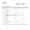Slovenia Factor Banka bank statement in Word and PDF format