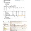 Slovenia Infrastruktura Bled utility bill template in Word and PDF format (.doc and .pdf)