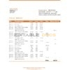 Slovenia Intesa Sanpaolo Bank, Poslovalnica Koper bank statement easy to fill template in .xls and .pdf file format