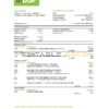 Solomon Islands BSP bank statement, Excel and PDF template