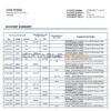 Somalia Amal bank statement template in Word and PDF format