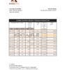 Somalia Amana bank statement, Excel and PDF template