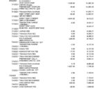 South Africa ABSA bank statement easy to fill template in Excel and PDF format (9 pages)