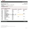 South Africa ABSA bank statement template in Word and PDF format