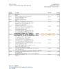 South Africa Discovery bank statement, Excel and PDF template