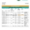 South Africa First National Bank (FNB) proof of address statement template in Word and PDF format