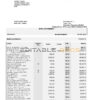 South Africa Standard bank statement, Word and PDF template, 6 pages