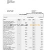 South Africa Standard bank statement, Word and PDF template, 6 pages
