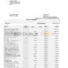 South Africa Standard bank statement, Word and PDF template, 6 pages