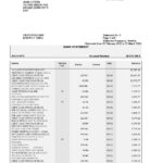 South Africa Standard bank statement, Word and PDF template, 6 pages