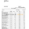 South Africa Standard bank statement, Word and PDF template, 6 pages