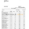 South Africa Standard bank statement, Word and PDF template, 6 pages