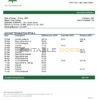 South Sudan Eden Commercial Bank bank statement template in Word and PDF format