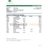 South Sudan Eden Commercial Bank statement, Excel and PDF template