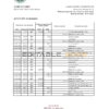 South Sudan Ivory Bank statement, Excel and PDF template