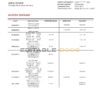 Sri Lanka Seylan bank statement template in Word and PDF format, version 2