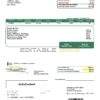 USA Steuben Country REMC utility bill template in Word and PDF format