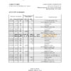 Sudan Al Neelen Bank statement, Excel and PDF template