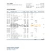 Suriname Centrale Bank Van Suriname bank statement, Excel and PDF template
