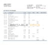 Suriname Centrale Bank Van Suriname bank statement template in Word and PDF format