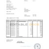 Switzerland Credit Suisse Bank statement easy to fill template in .xls and .pdf file format