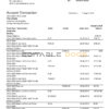 Switzerland UBS bank proof of address statement template in Word and PDF format, version 1