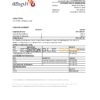 Syria Al Baraka bank statement, Excel and PDF template