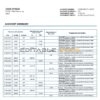 Syria Gulf Bank statement template in Word and PDF format