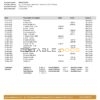 Taiwan Chang Hwa Bank statement template in Word and PDF format