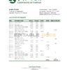 Taiwan Land Bank of Taiwan bank statement easy to fill template in Excel and PDF format