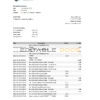 Tajikistan ITB bank statement, Excel and PDF template