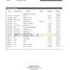 Tajikistan Spitamen Bank statement template in Word and PDF format