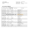 Tanzania Access Bank statement template in Word and PDF format