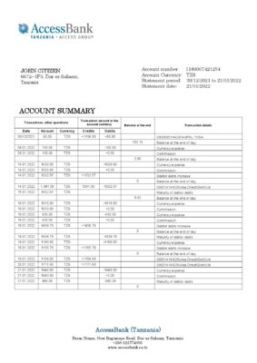 Tanzania Access Bank statement template in Word and PDF format