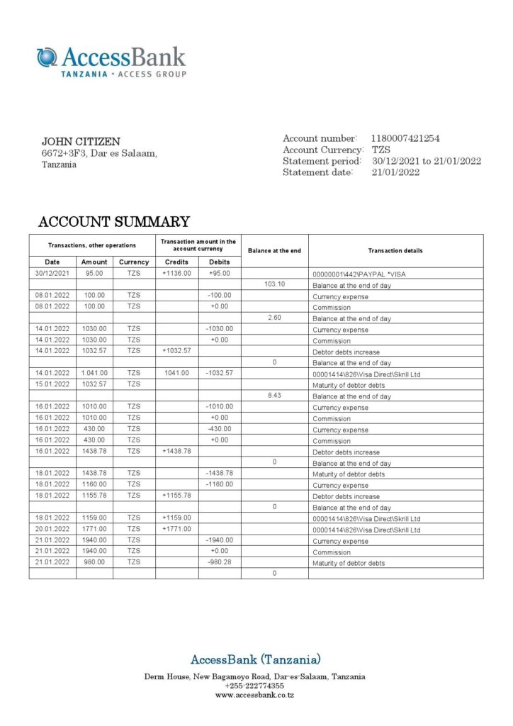 Tanzania Access Bank statement template in Word and PDF format