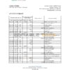 Tanzania Access bank statement, Excel and PDF template