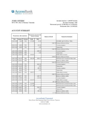 Tanzania Access bank statement, Excel and PDF template