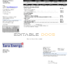 USA Texas Tara Energy utility bill template in Word and PDF format