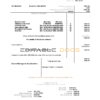 Mauritius Telecom Mauritius utility bill template in Word and PDF format
